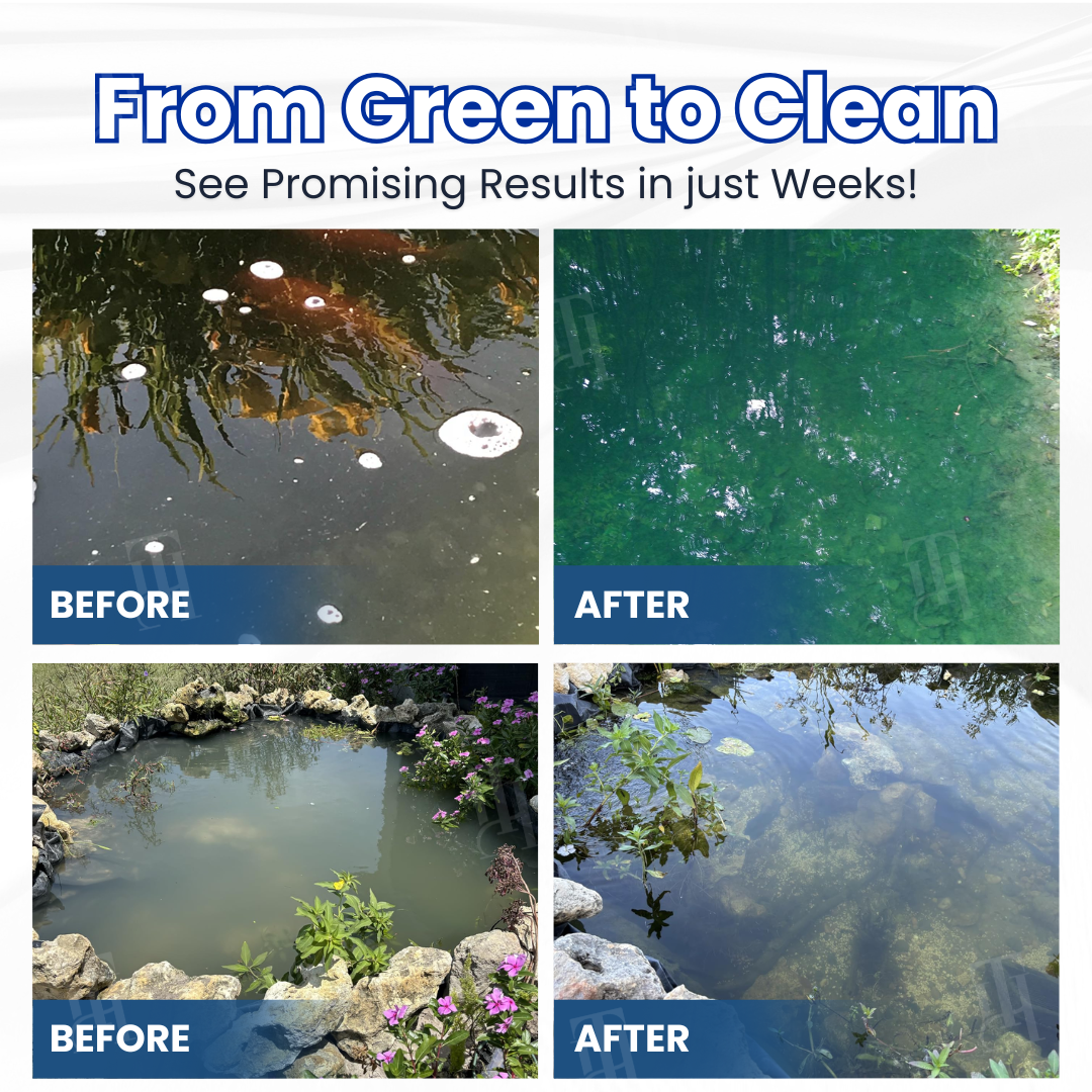 Velniva® WaterGuardian Pro Formula | Dual Bio-Restoration Water Clarifier