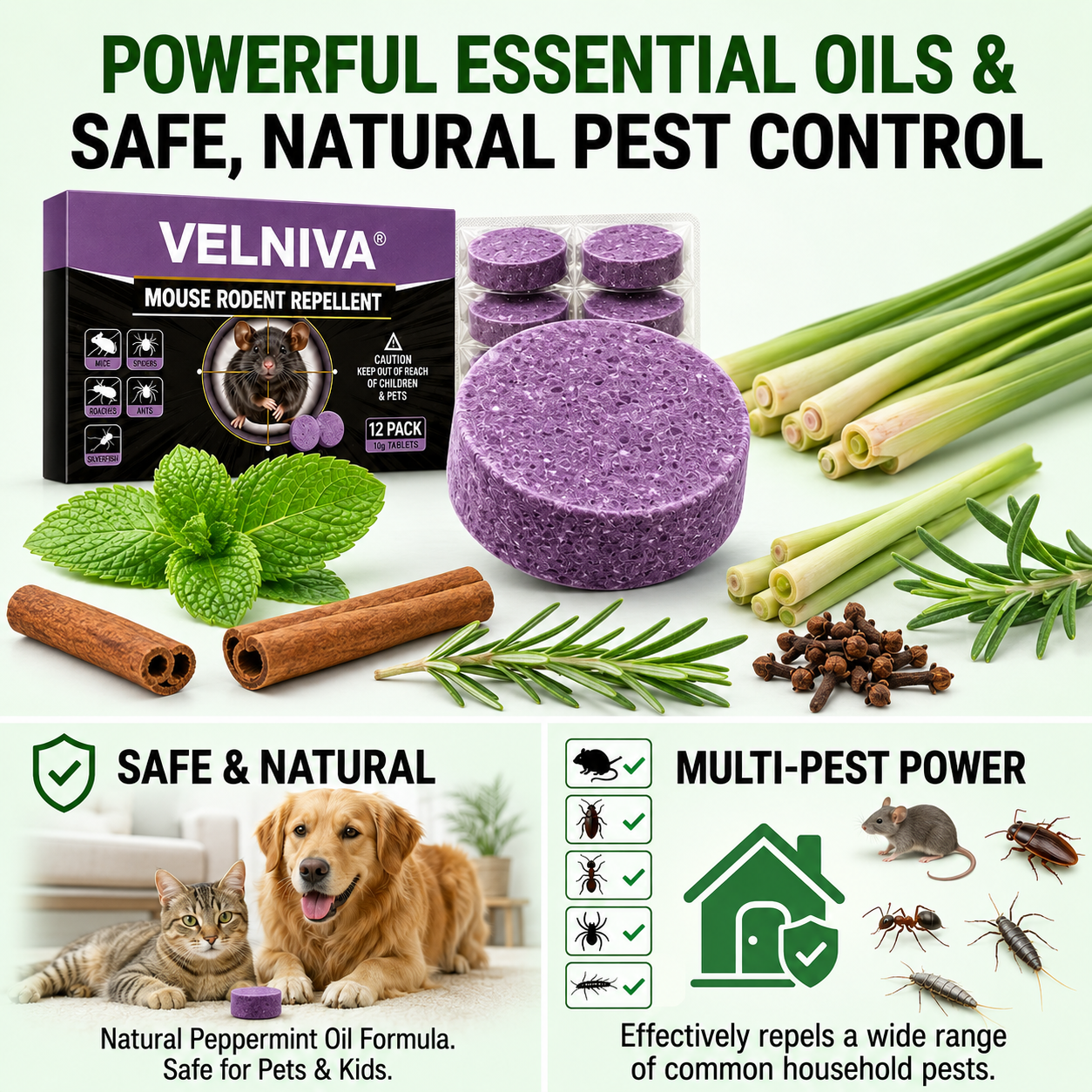 LAST DAY SALE 50%OFF💥Natural NO-MICE Mint Repellent