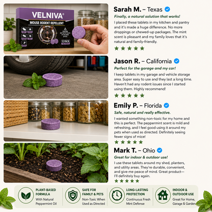 LAST DAY SALE 50%OFF💥Natural NO-MICE Mint Repellent